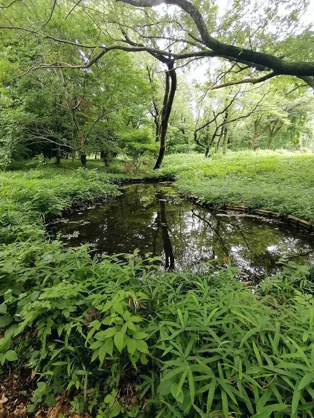 ひょうたん池