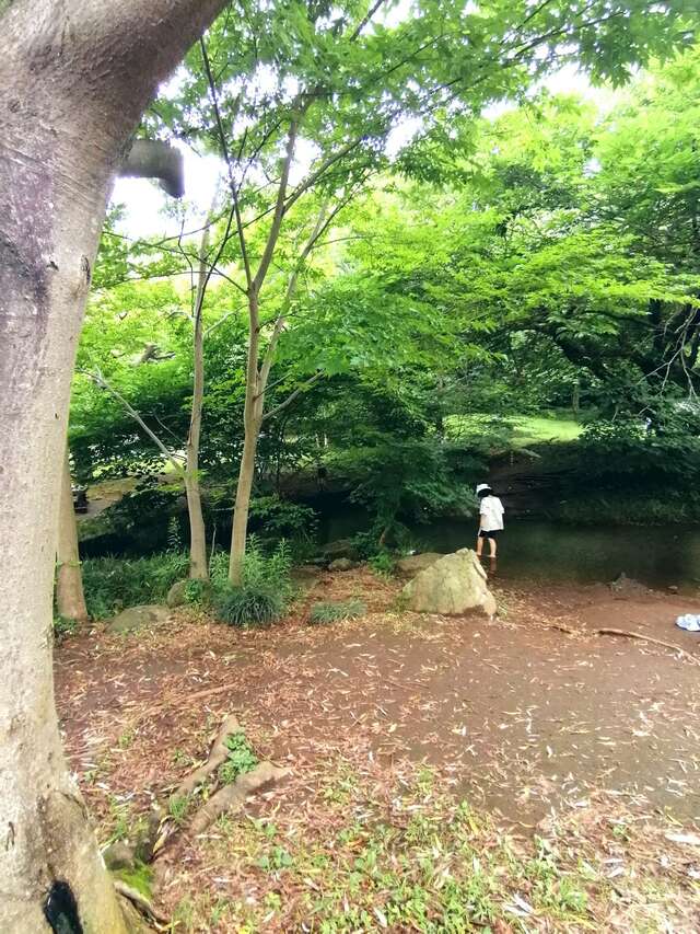 わき水広場