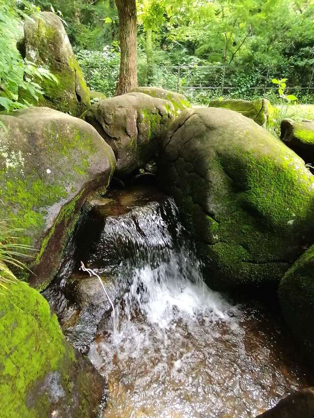 わき水広場