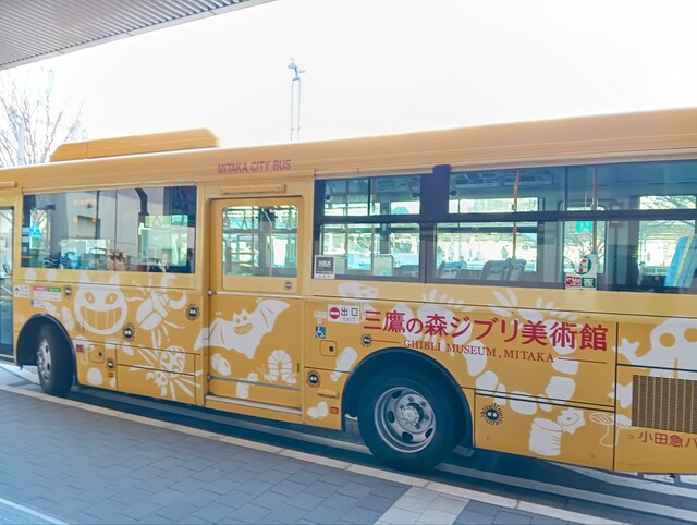 バス