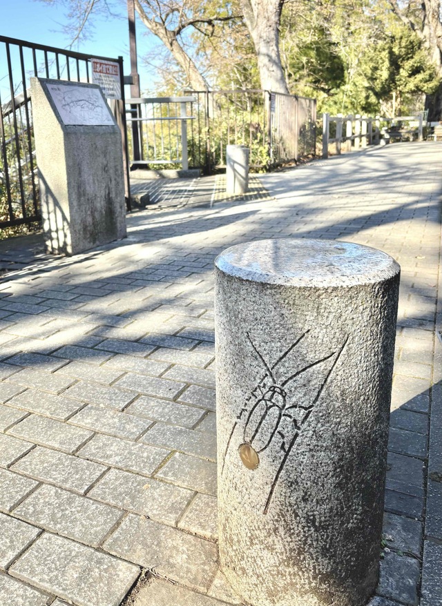 ほたる縁石