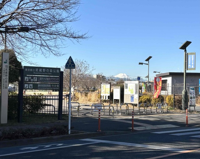 公園入口の富士山