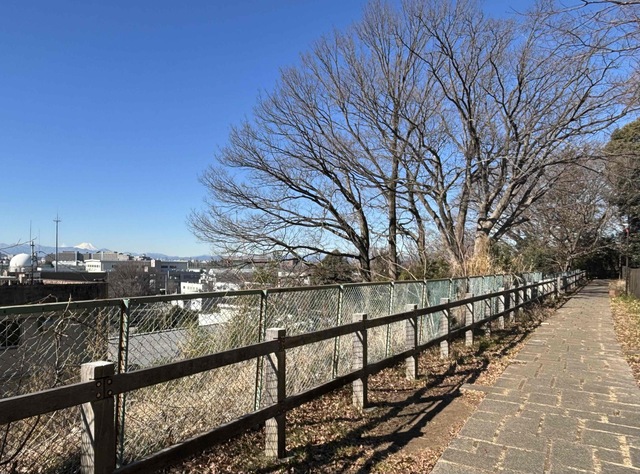 遊歩道からの富士山