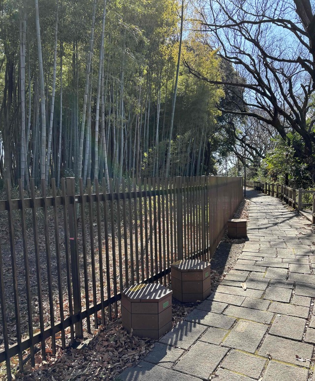 竹と遊歩道