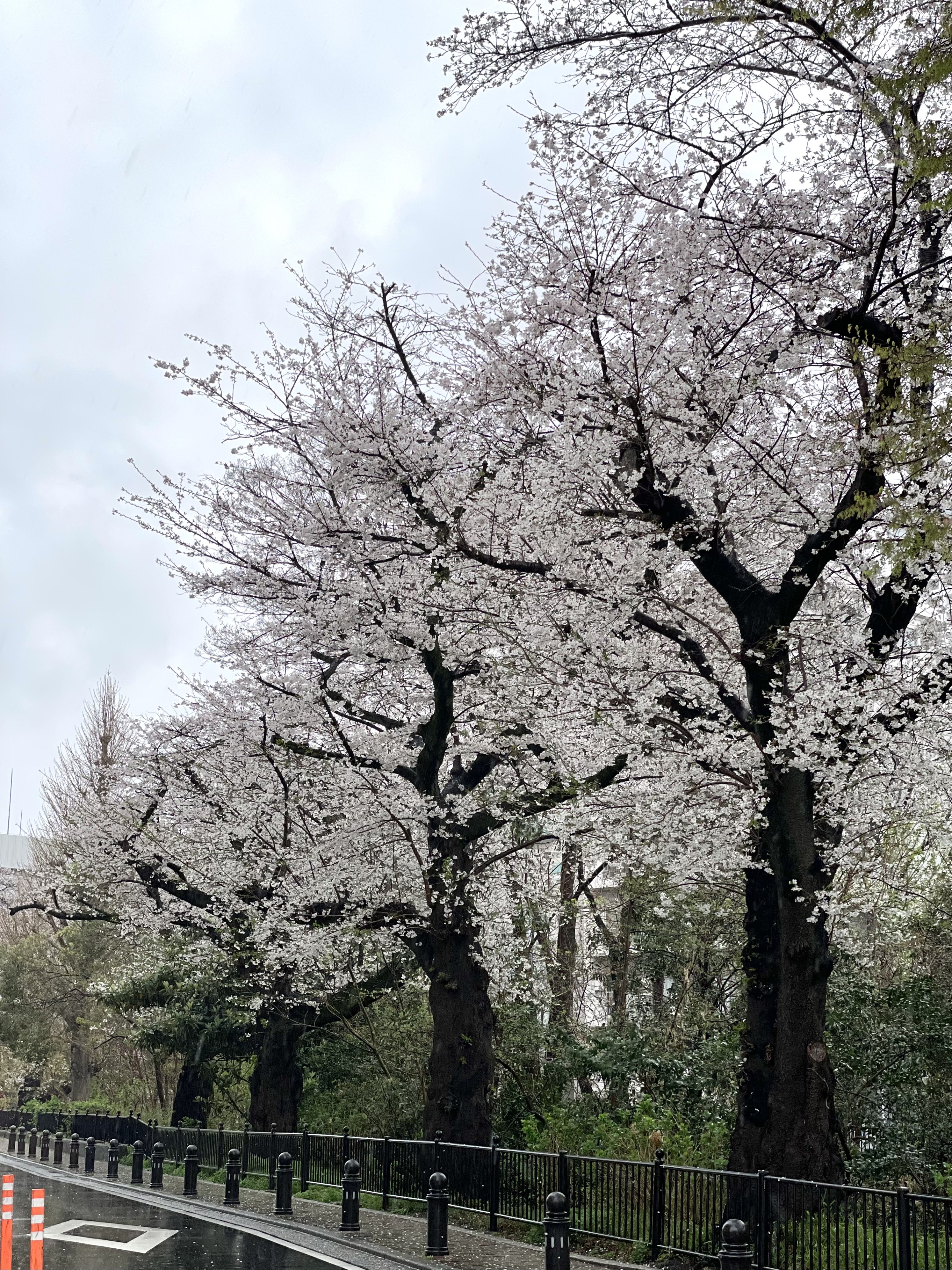 風の散歩道