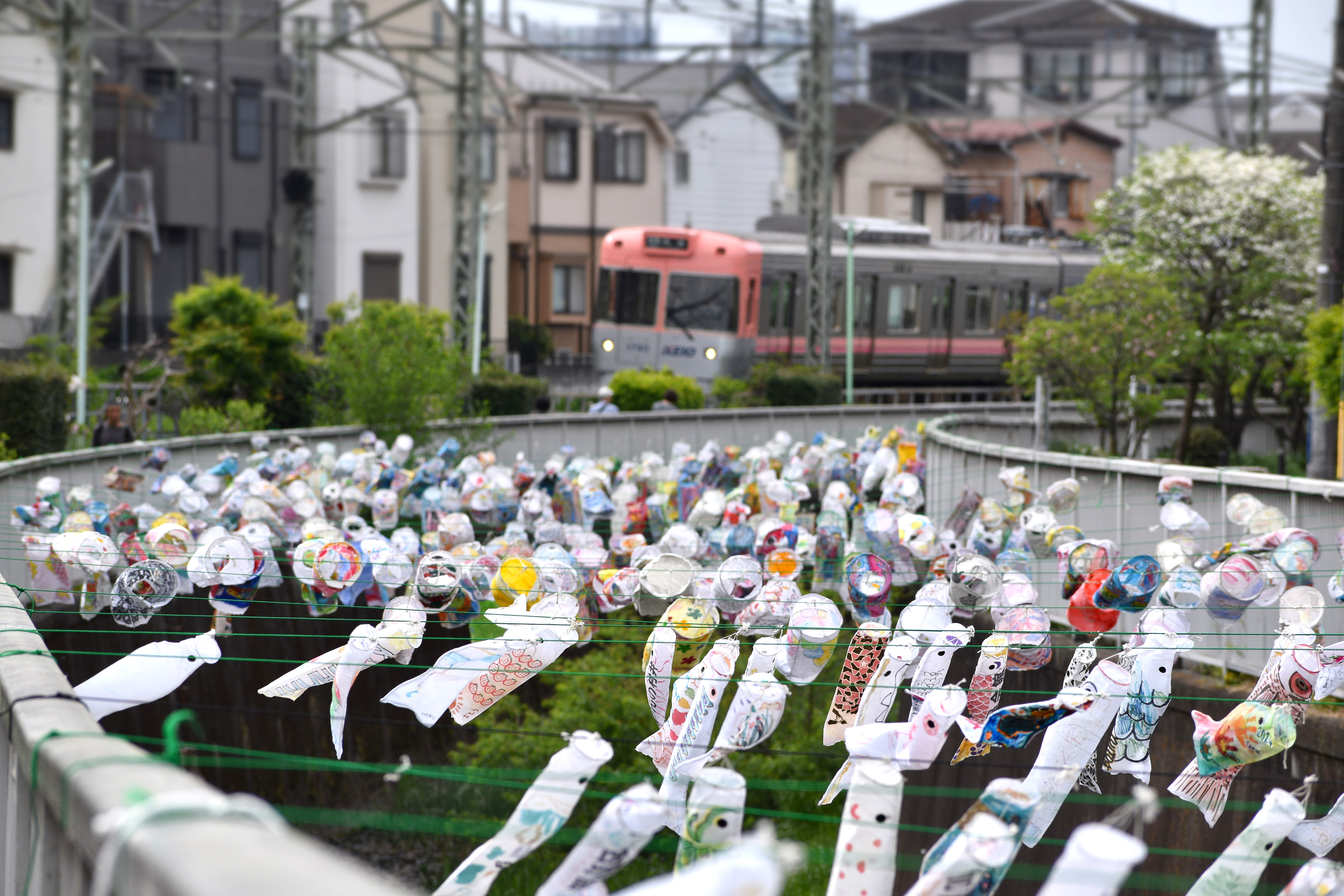 神田川こいのぼり祭り