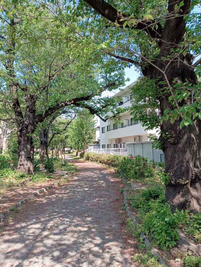 堀合遊歩道3