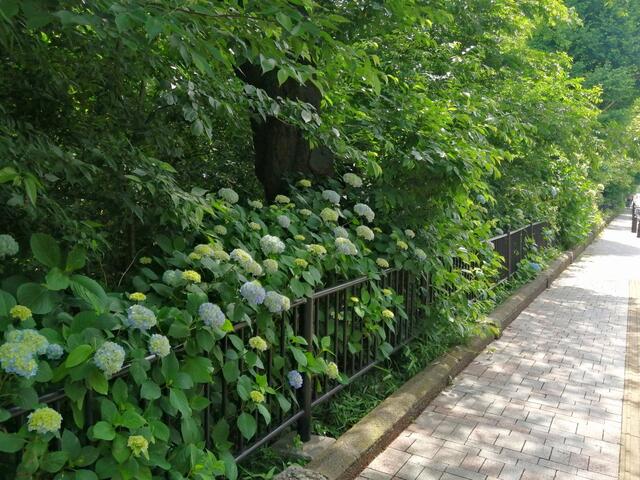 風の散歩道