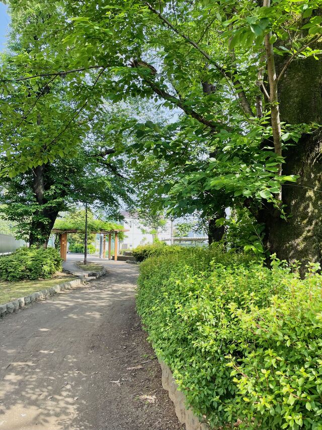 堀合遊歩道