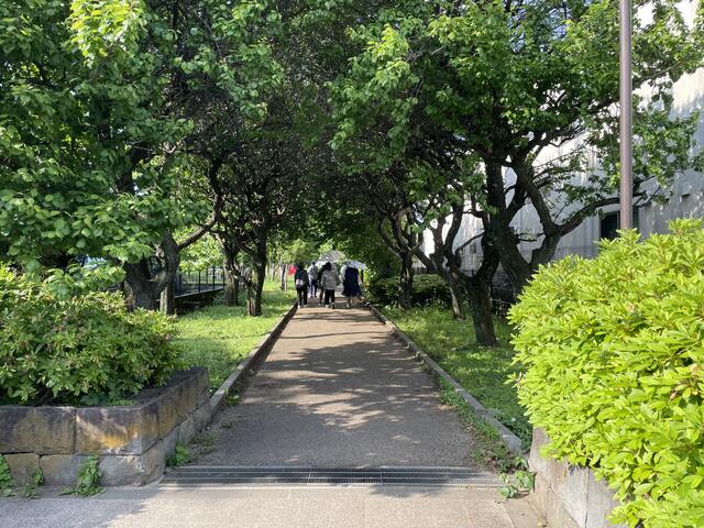 グリーンパーク遊歩道