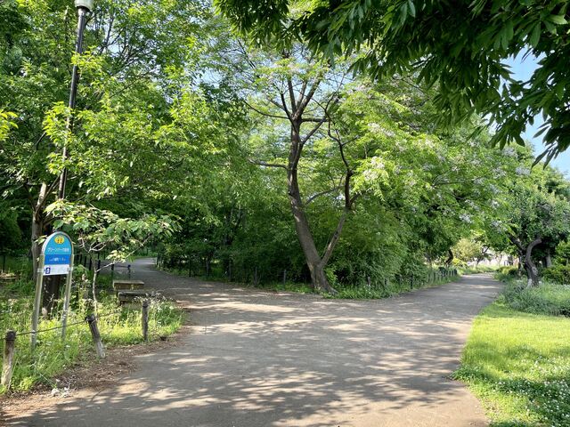 グリーンパーク遊歩道八幡町