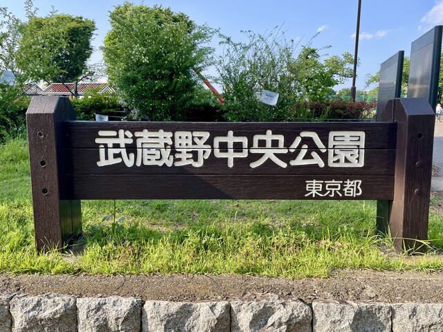 武蔵野中央公園