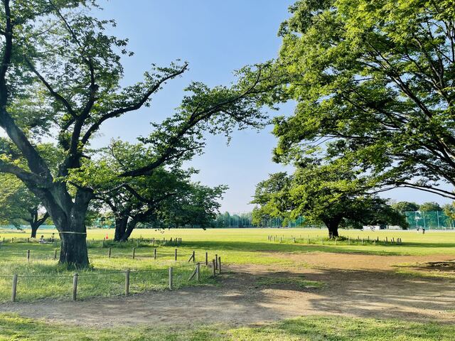 武蔵野中央公園
