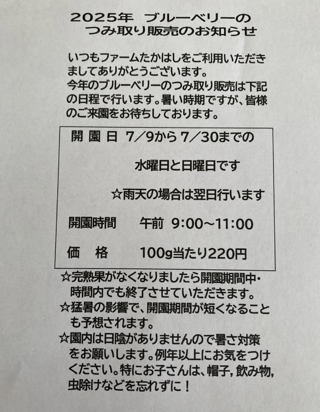 ブルーベリー