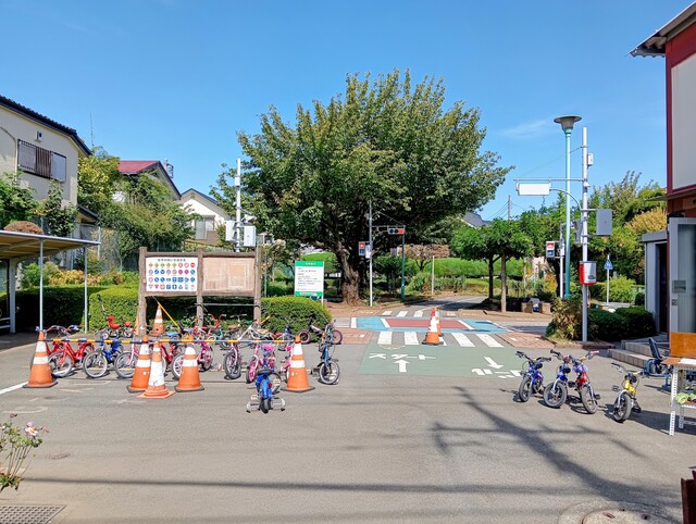 IMG_20251008_111736~2