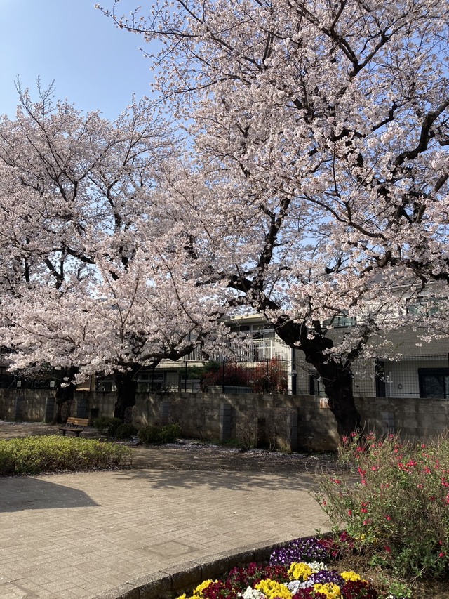 下連雀児童公園