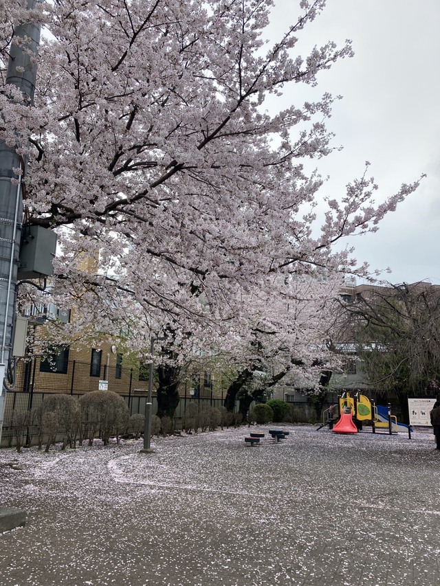 下連雀児童公園2