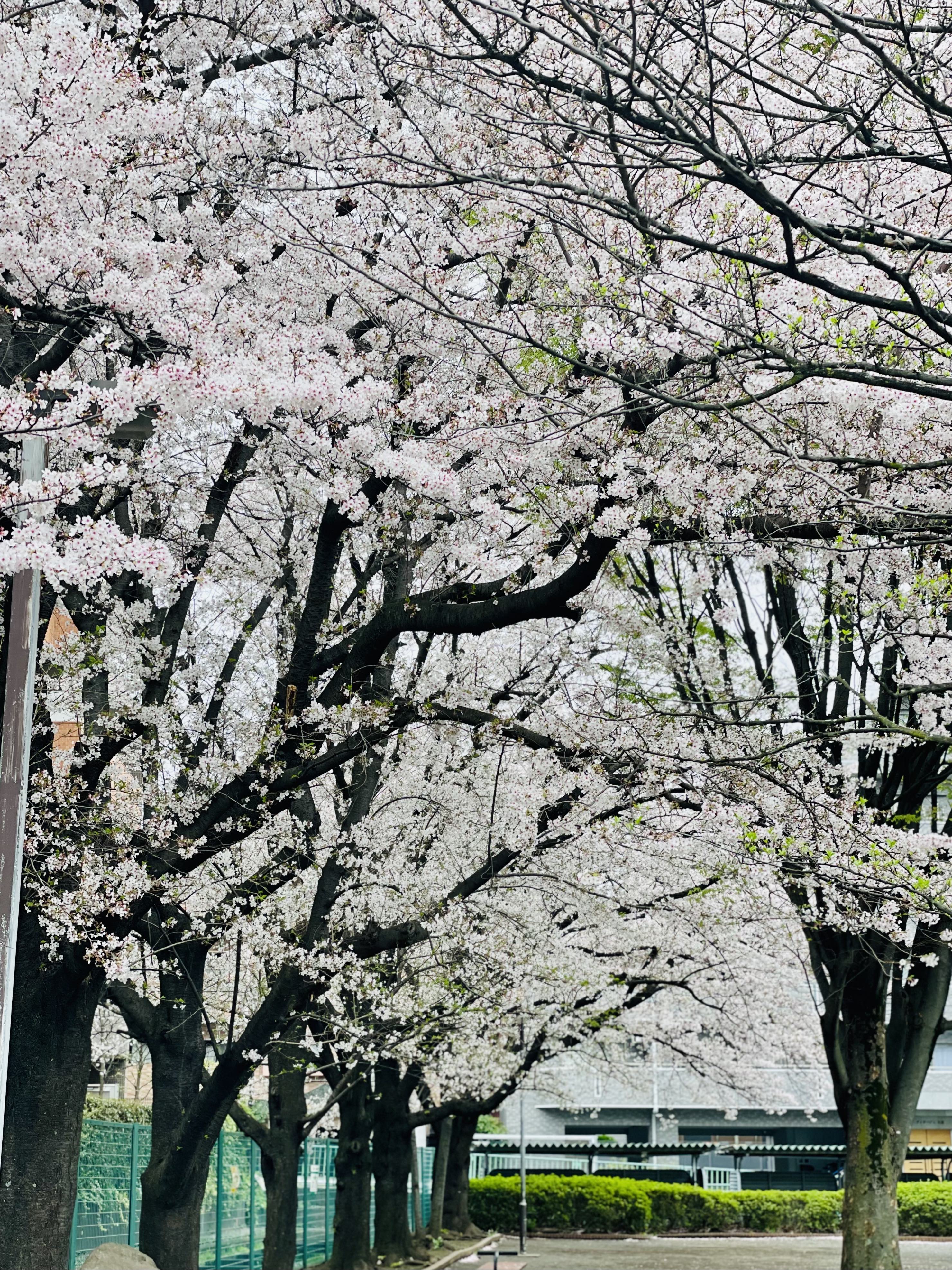 下連雀児童遊園