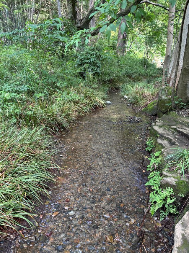 下流から上流 下流から上流