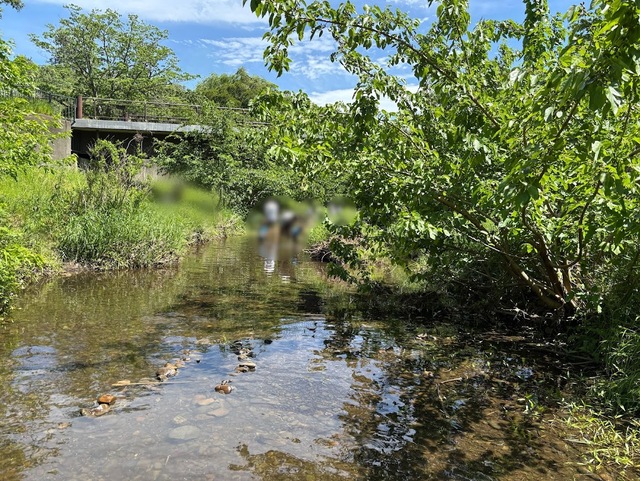 野川 野川