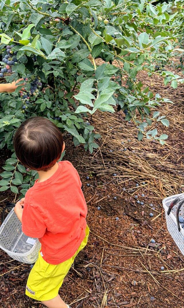 園内