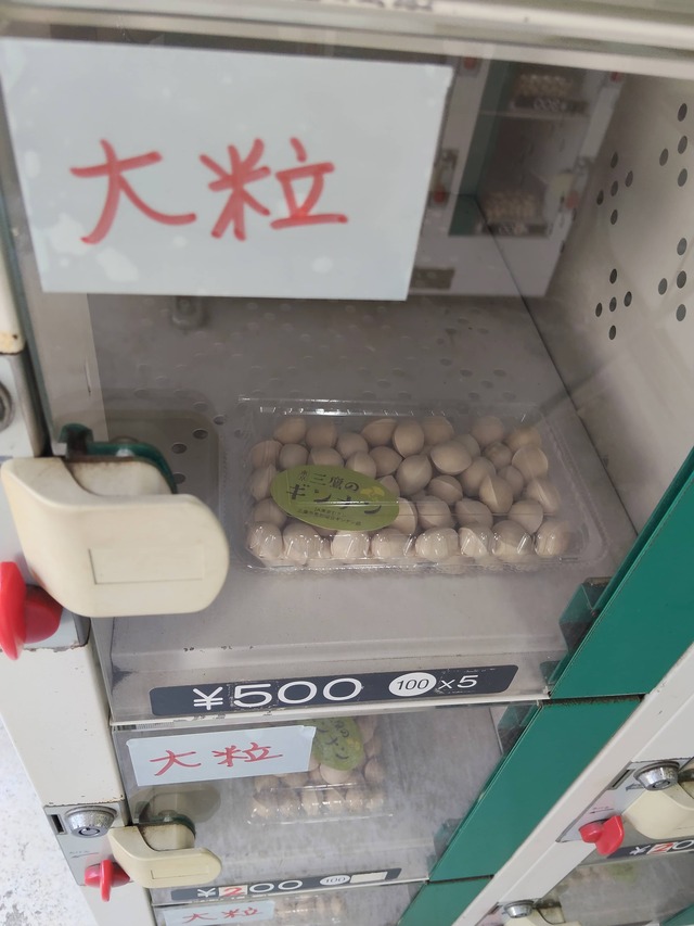 大粒